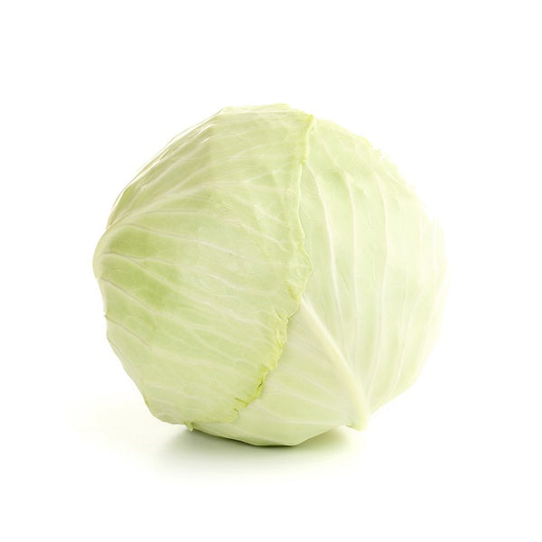 Organic Cabbage White 500g