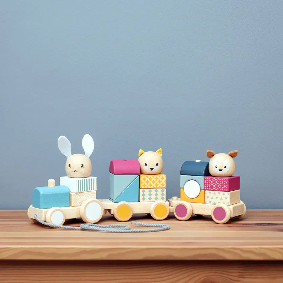 Activity Pull Along Train - FSC 100% (12months+)