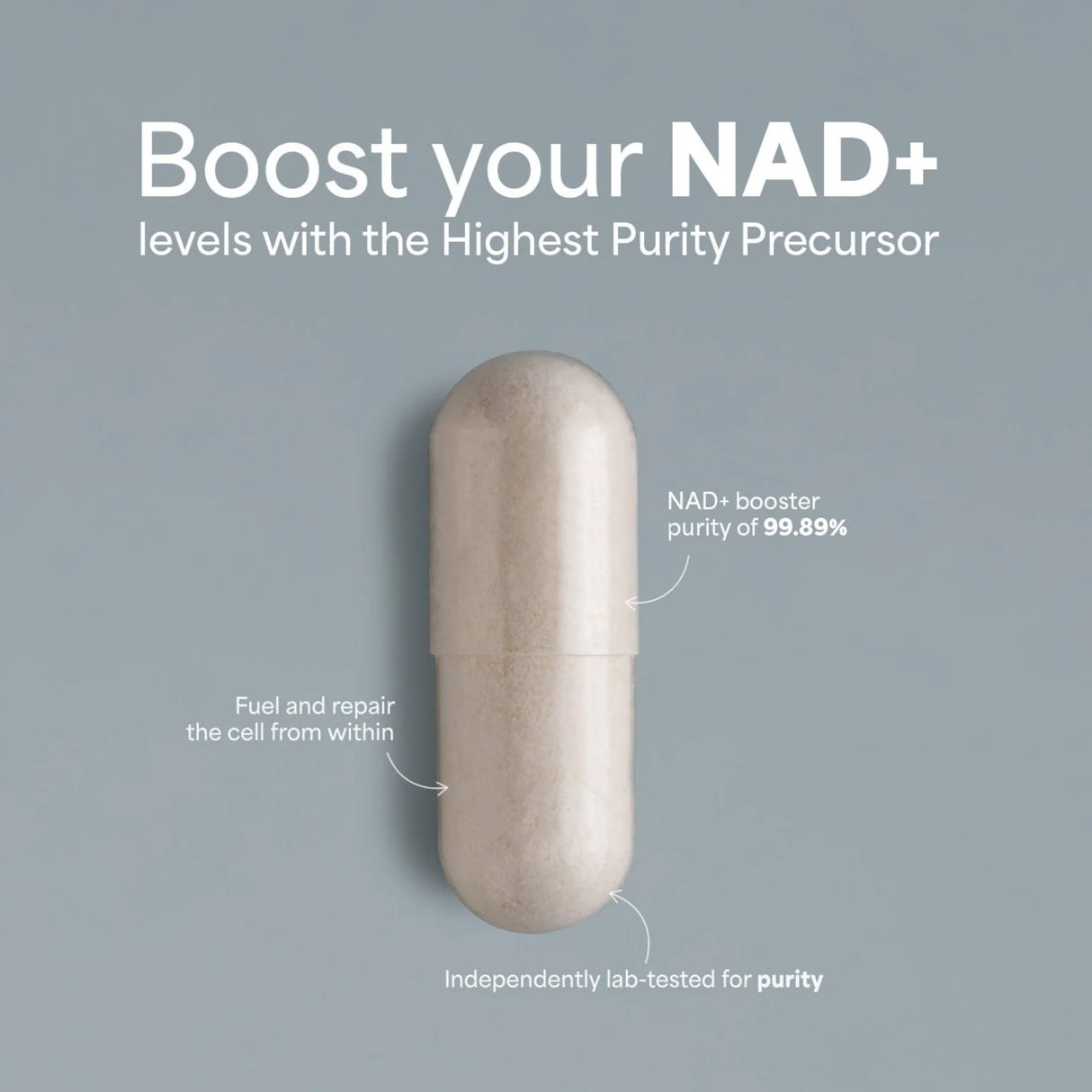 (Nicotinamide Riboside