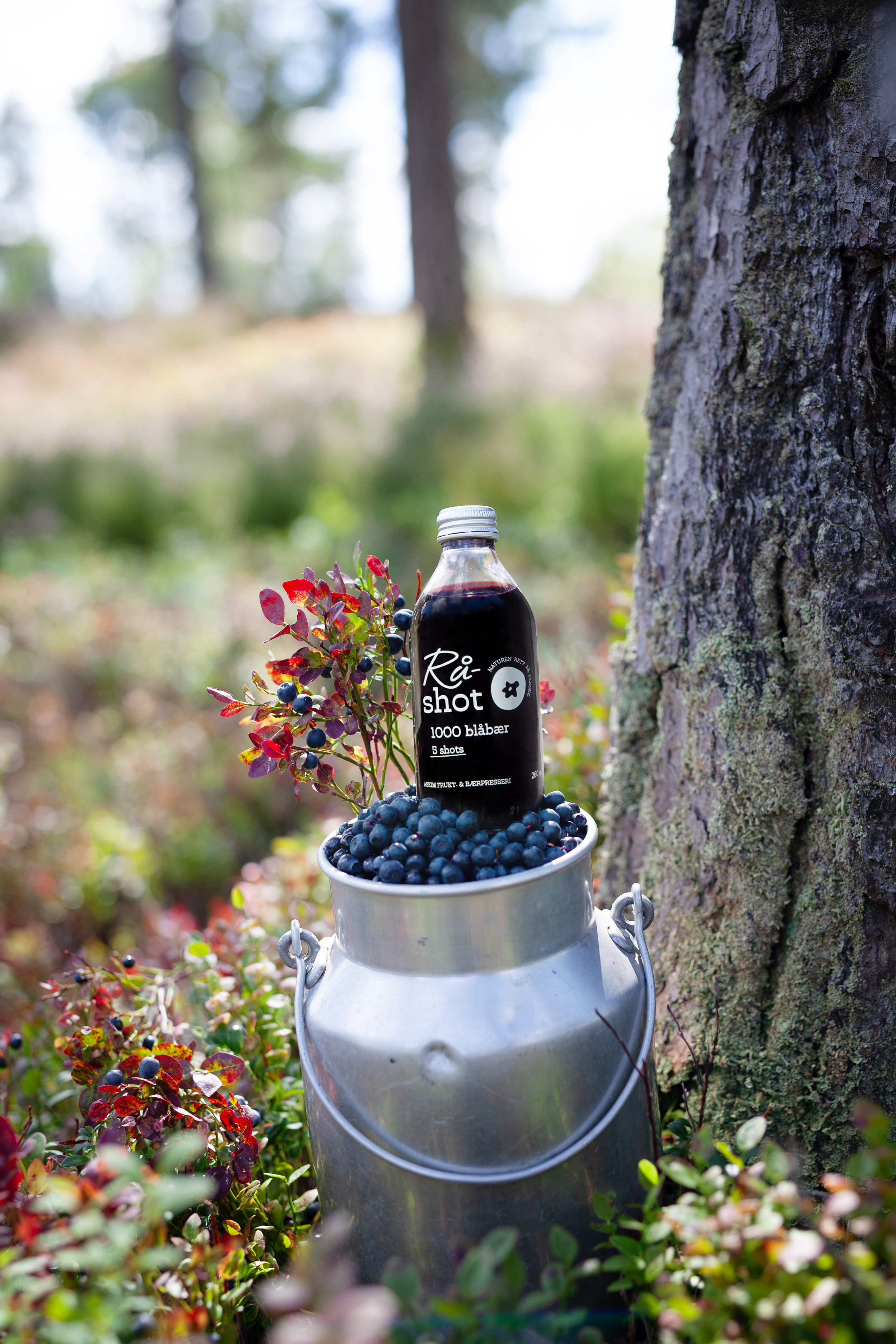 Raw Blueberry Shot