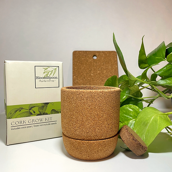 Cork Grow Kit β sustainable mushroom growing kit