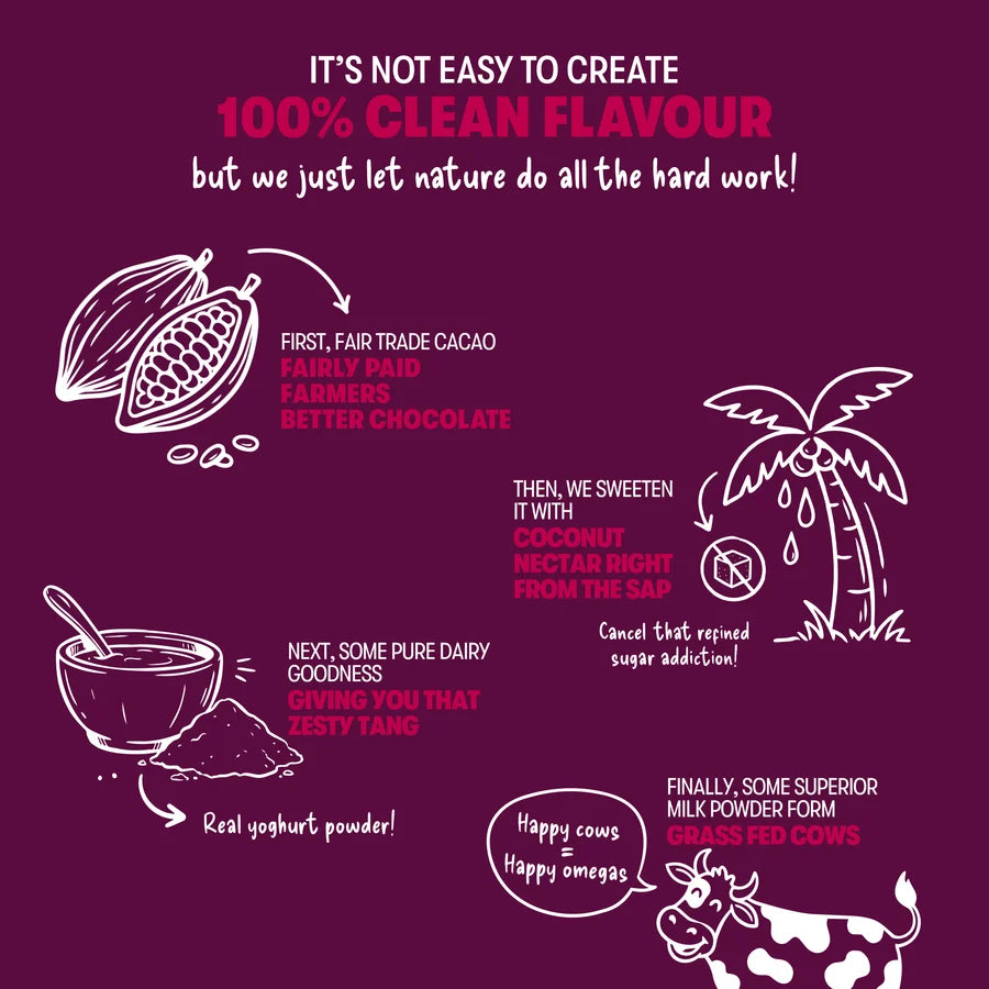An infographic on a dark magenta background explaining the flavoring process of chocolate yogurt. White line drawings illustrate a cacao pod, a bowl of yogurt powder, a coconut, and a cow, with pink and white text detailing ingredients like fair trade cacao, coconut nectar, and pasted milk.