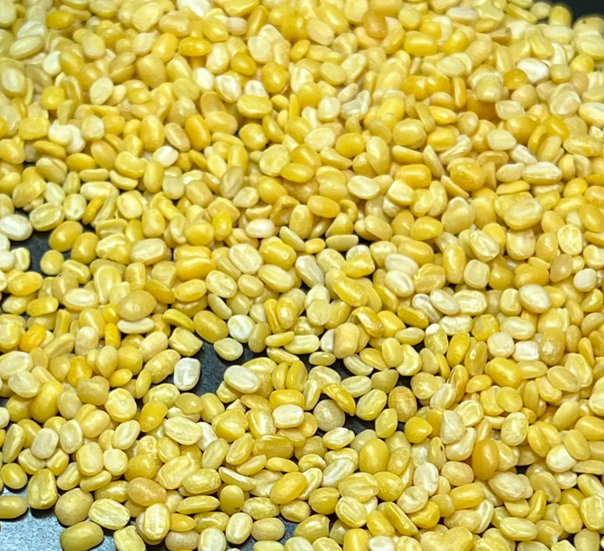 Moong Split (Moong Dal)