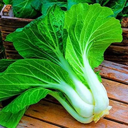 Organic Pak Choi