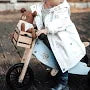 Bike crate Basket