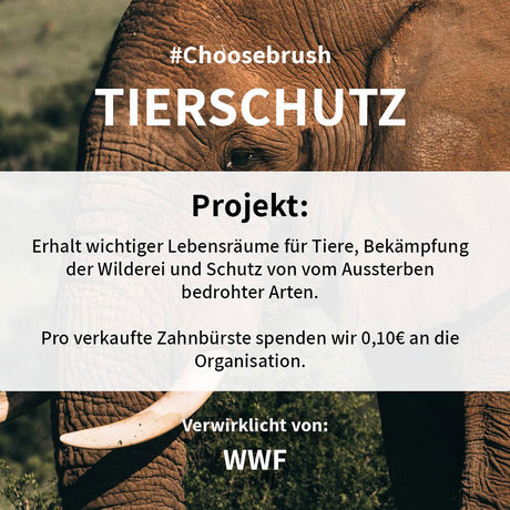 Niyok Bamboo Toothbrush - Animal Protection