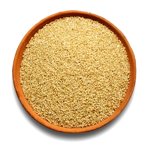 Little Millet