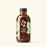 Lime & Mint Bottled Kombucha 250ML