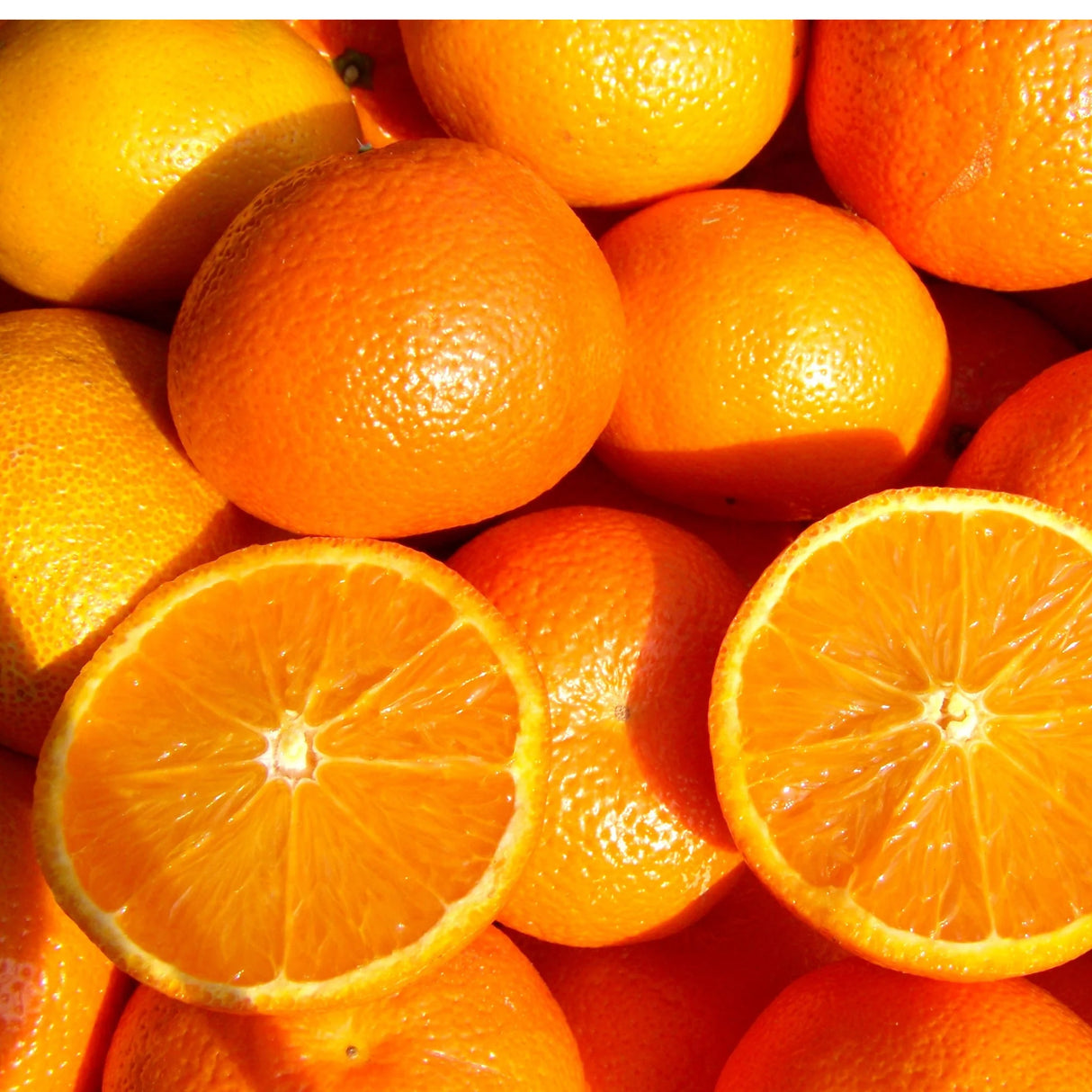 Bitter Orange Marmalade 305g