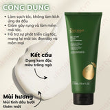 Pomelo Hair Conditioner 310ml