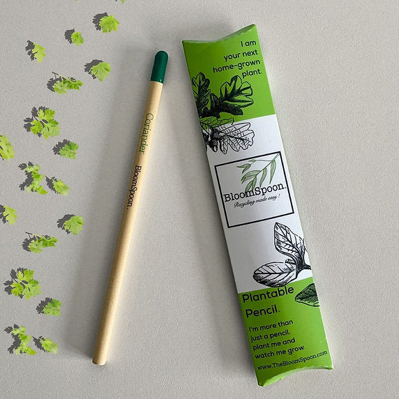 Plantable pencil - Dill seed