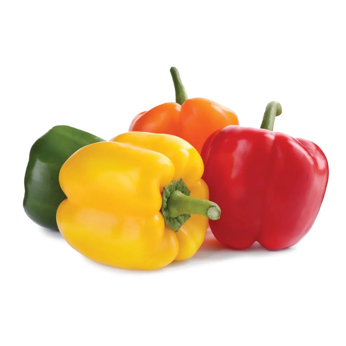 Mix Color Capsicum 1Kg – Anvve Organic & Natural Store