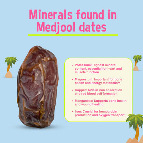 Organic Medjool Whole Dates-500g
