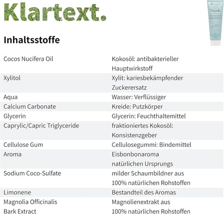 Niyok Toothpaste Made From Coconut Oil - Ice Mint