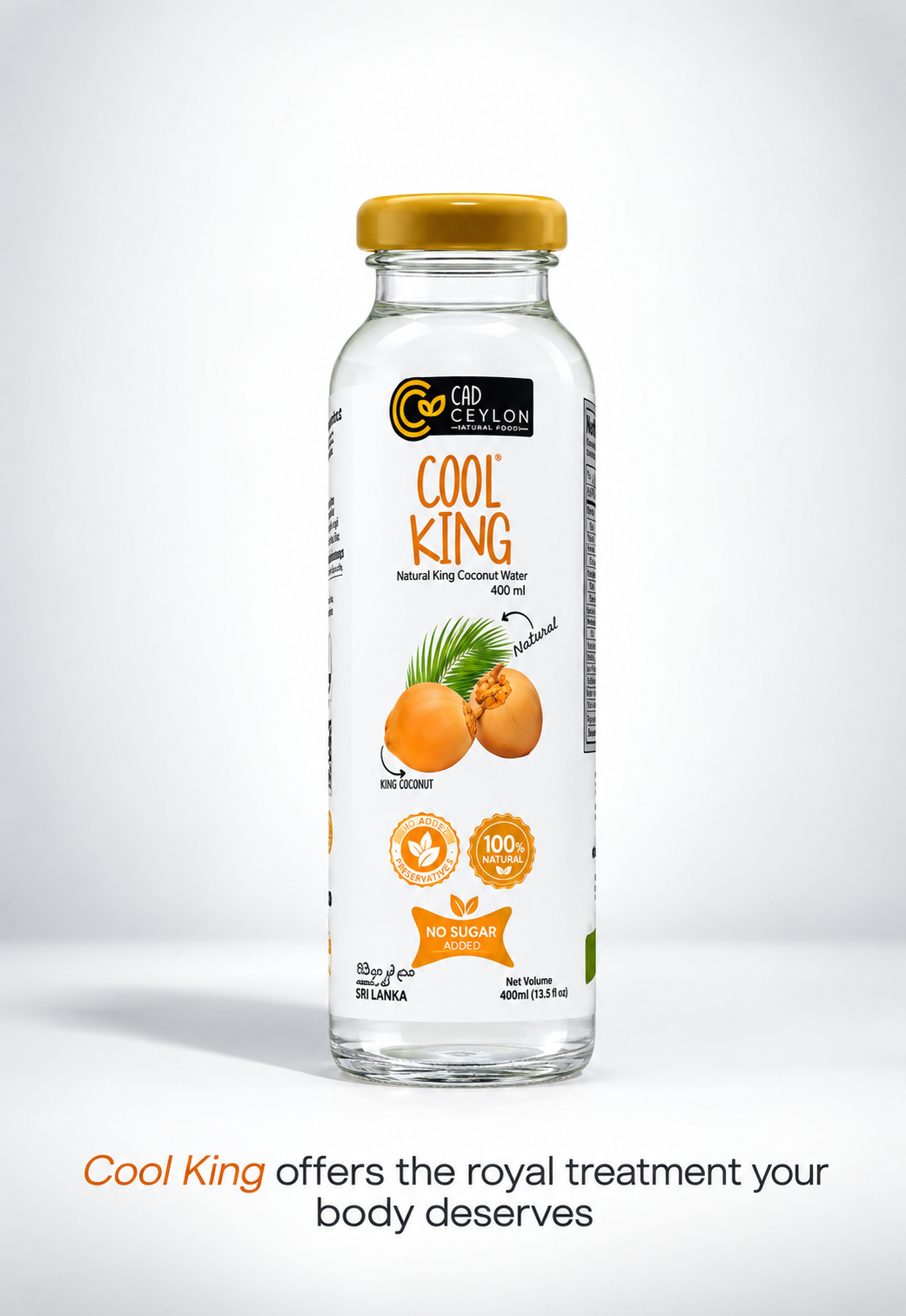 Cool King Coconut Water 250ml
