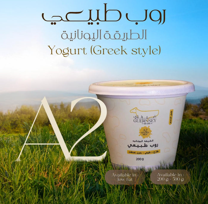 A2 Greek Style Yogurt 500g