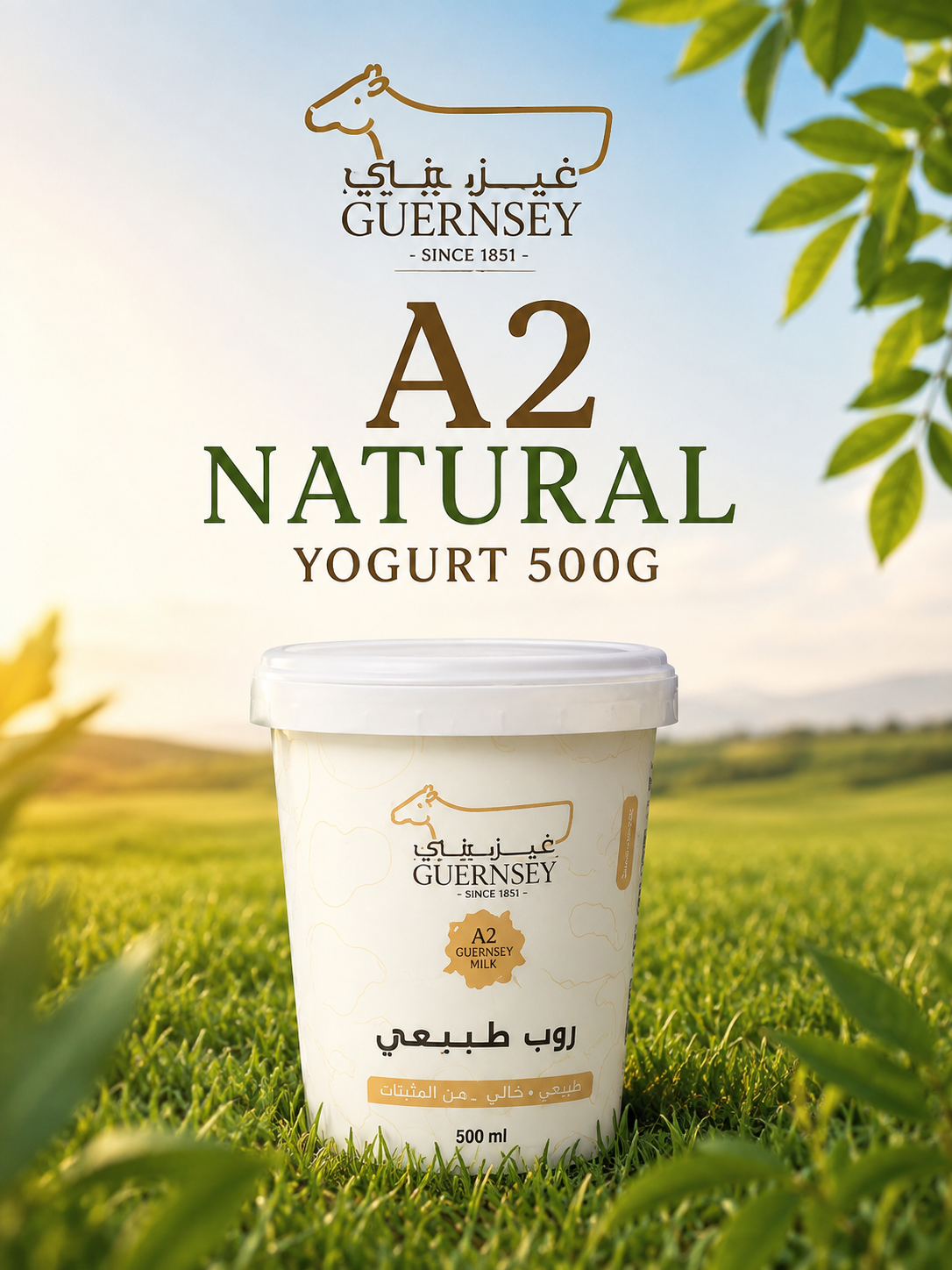 A2 Natural Yogurt 500g