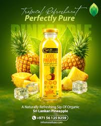 Cool Pineapple Fruit Drink