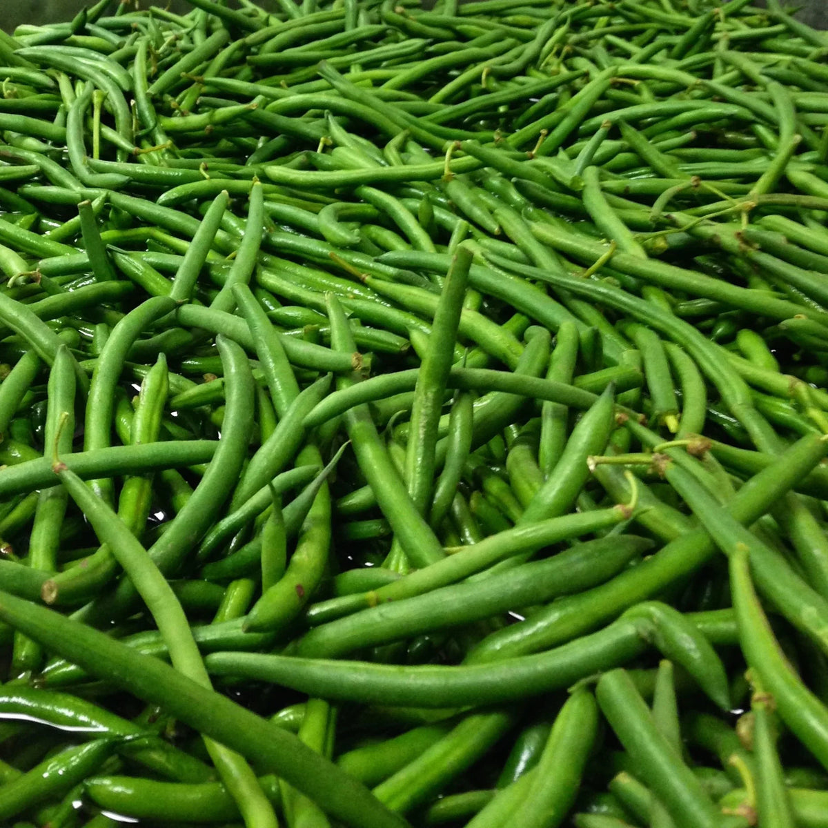 Organic Green Beans 250G