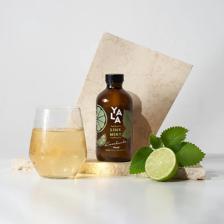 Lime & Mint Bottled Kombucha 
