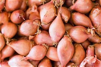 Organic Shallots 250g