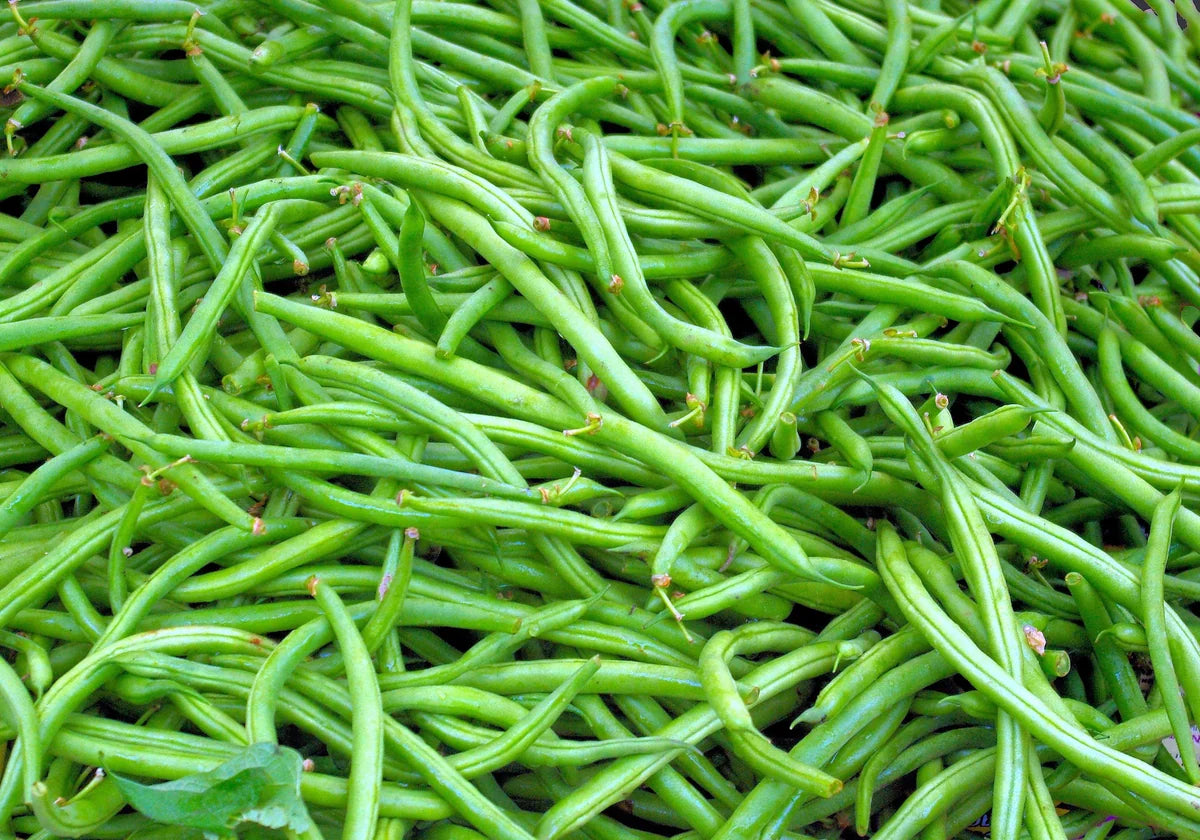 Organic Green Beans 250G