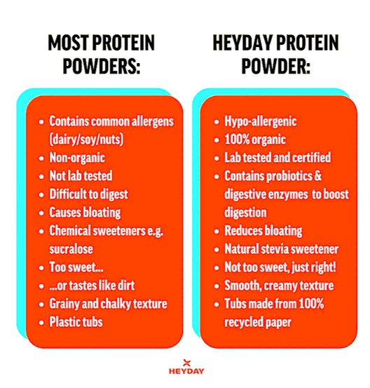 Plant-based protein powder – Mocha, 800g