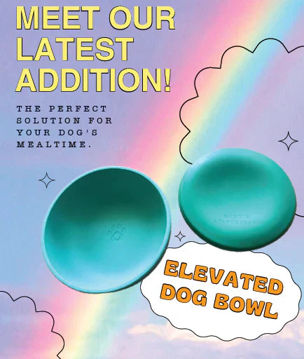 Dog Bowl