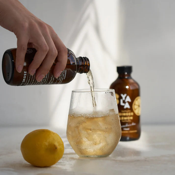 Yala Ginger & Lemon Bottle Kombucha 250ml 0