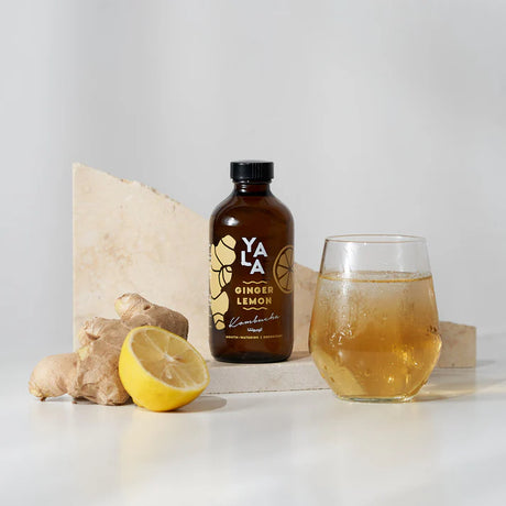 Yala Ginger & Lemon Bottle Kombucha 250ml 0