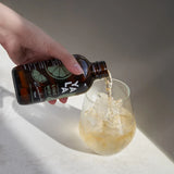 Lime & Mint Bottled Kombucha 250ML