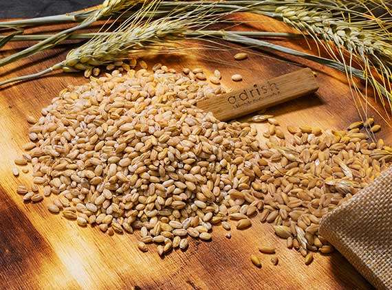Pearl Barley