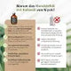Niyok Coconut Oil Pulling - Peppermint