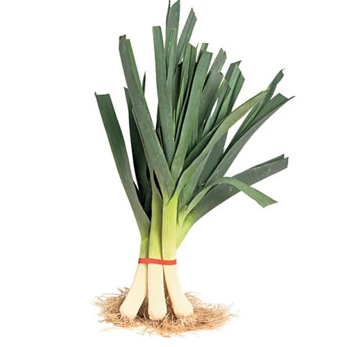 Leek leaf 1Kg
