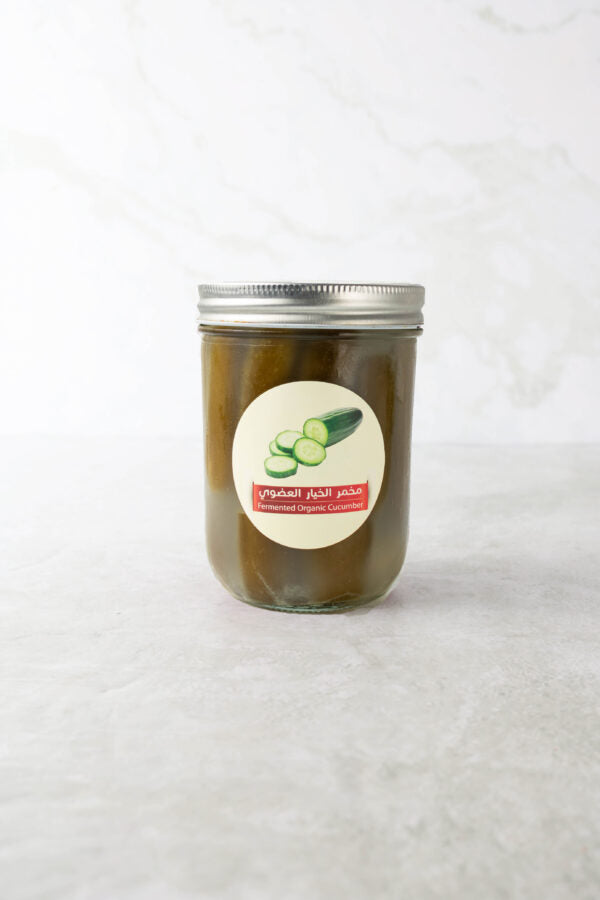 Tyyebha Organic Fermanted Cucumber 475g